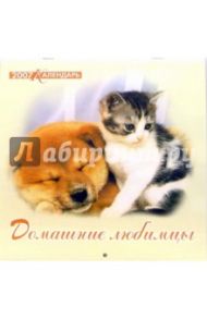 Календарь 2007 Домашние любимцы (07-12-011)