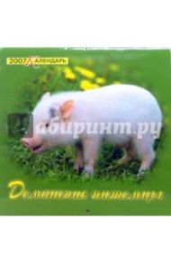 Календарь 2007 Домашние питомцы (07-12-002)