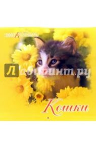 Календарь 2007 Кошки (07-12-004)