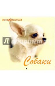 Календарь 2007 Собаки (07-12-005)