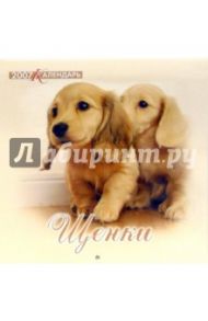 Календарь 2007 Щенки (07-12-006)
