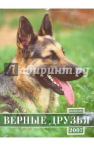 Календарь 2007 Верные друзья (БРЛ10316)