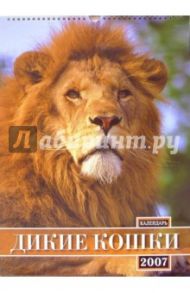 Календарь 2007 Дикие кошки (БРЛ10313)