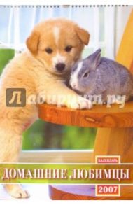 Календарь 2007 Домашние любимцы (БРЛ10315)