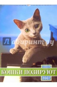 Календарь 2007 Кошки позируют (БРЛ10319)