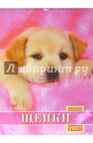 Календарь 2007 Щенки (БРЛ10320)