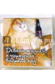 Магнитные подарочки. Девять жизней (М-003)