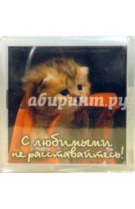 Магнитные подарочки (М-096) С любимыми не раставайтесь
