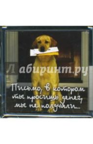 Магнитные подарочки М-204 Письмо, в котором ты просишь денег, мы не получали...