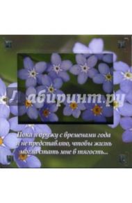 Магнитные подарочки Р-708 Пока я дружу с временами год я не представляю, чтобы жизнь...
