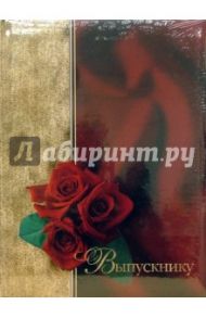 Тематическая папка "Выпускнику" (FO-009)