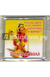 Магнитные подарочки М-349 Домохозяйка