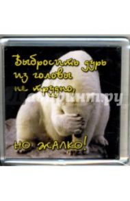Магнитные подарочки. Выбросить дурь из головы не трудно, но жалко!