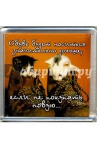 Магнитные подарочки. Обувь будет носиться...(М-435)