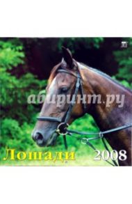 Календарь 2008 Лошади (70701)
