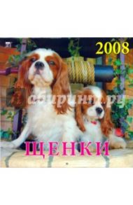 Календарь 2008 Щенки (70704)