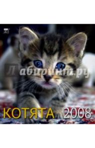 Календарь 2008 Котята (30701)