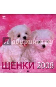 Календарь 2008 Щенки (30702)