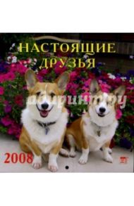 Календарь 2008 Настоящие друзья (30703)