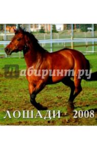 Календарь 2008 Лошади (30704)