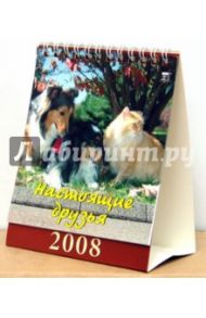 Календарь 2008 Настоящие друзья (10705)