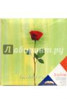 4822 Фотоальбом LM-4R100CPPBB