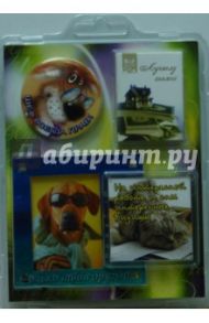 Подарочный набор "Лучшему коллеге" (PN-017)