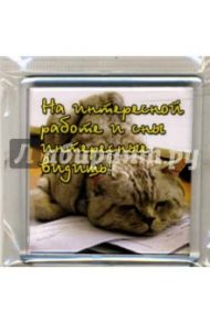 Сувенир на магните. На интересной работе и сны интересные видишь!