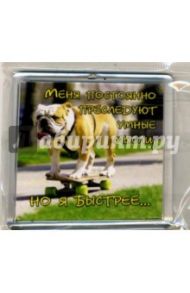 Сувенир на магните. Меня постоянно преследуют умные мысли, но я быстрее...