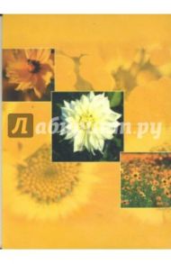 Фотоальбом SP4632 Assorti (9833)
