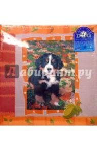 7532 Фотоальбом AV46400 3-0 Funny Pets