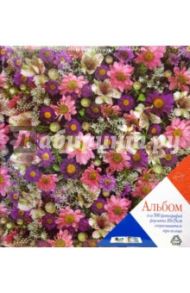 1708 Фотоальбом LM-4R500RB Blossom
