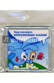 Магнитные подарочки. Буду наблюдать вооруженным глазом!