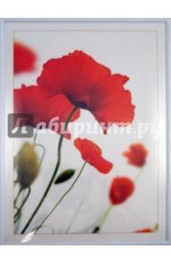 Рамка для фотографий формата 21х29,7 (8550)