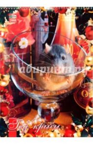 Календарь 2008 год. (КРС-08001-21) Год крысы 330х480
