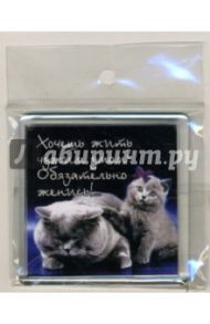 Магнитные подарочки. Хочешь жить чужим умом? Обязательно женись!..