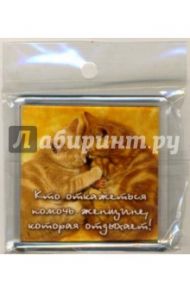 Магнитные подарочки. Кто откажется помочь женщине, которая отдыхает!
