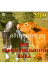 Календарь 2009 Год замечательного быка (30807)