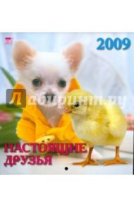 Календарь 2009 Настоящие друзья (30809)