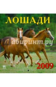 Календарь 2009 Лошади (30811)