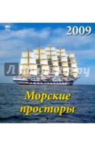 Календарь 2009 Морские просторы (30815)