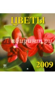 Календарь 2009 Цветы (30816)