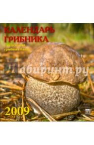Календарь 2009 Грибника (30818)