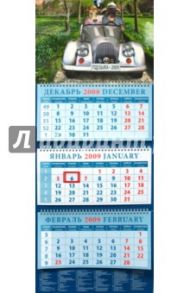Календарь 2009 Двое в машине (14804)