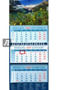 Календарь 2009 Горный пейзаж (14810)