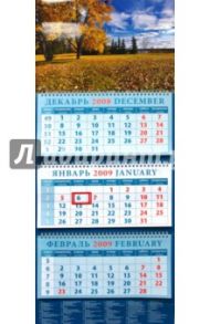 Календарь 2009 Прекрасный вид (14813)