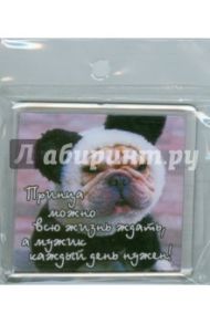 Магнитные подарочки. Принца можно всю жизнь ждать, а мужик каждый день нужен!