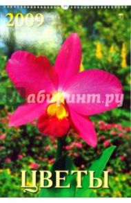 Календарь 2009 Цветы 12811