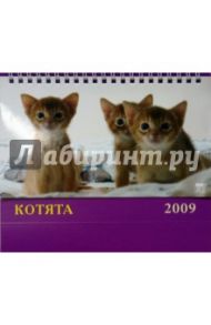 Календарь 2009 Котята (19805)