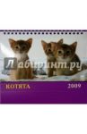 Календарь 2009 Котята (19805)